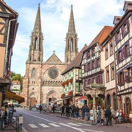 Le Carrousel - Appartement Cosy Centre Obernai Ngoại thất bức ảnh