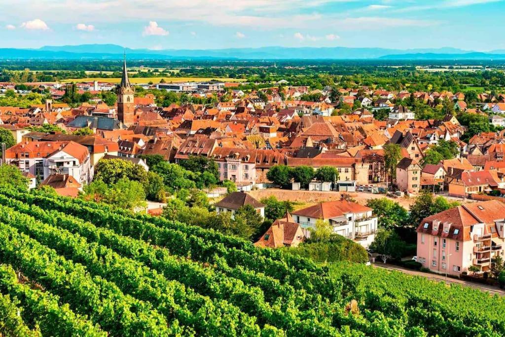 Le Carrousel - Appartement Cosy Centre Obernai Ngoại thất bức ảnh