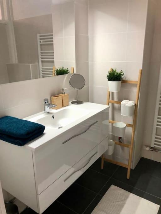 Le Carrousel - Appartement Cosy Centre Obernai Ngoại thất bức ảnh